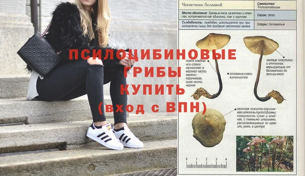 а пвп мука Богородск