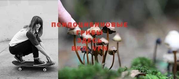 ешки Богородицк