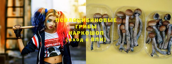 а пвп мука Богородск